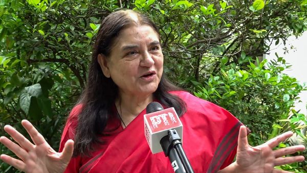 Maneka Gandhi Calls Supreme Court Order On Stray Animals ‘Impractical’, Urges Compassion And Humane Care