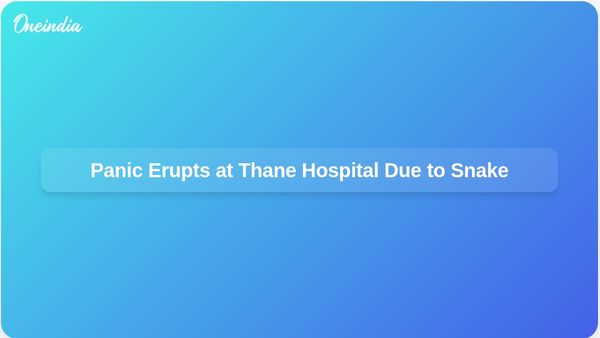 Snake Incident Sparks Panic at Thane District Hospital During Treatment of Bite Victims