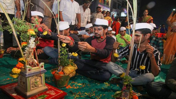 When Is Tulsi Vivah? November 2 or 3? Check The 2025 Tulsi Pooja Date