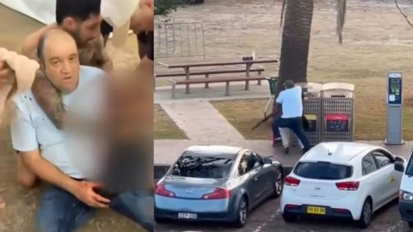 Who Is Ahmed Al Ahmed, the Sydney Shop Owner Who Wrestled a Rifle From a Gunman at Bondi Beach?