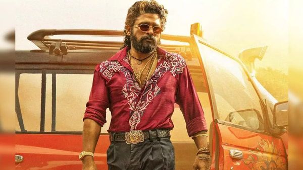 Actor Allu Arjun Named In 'Pushpa 2' Stampede Chargesheet