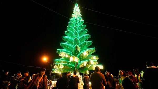 Why the Christmas Tree Became the Heart of December Celebrations