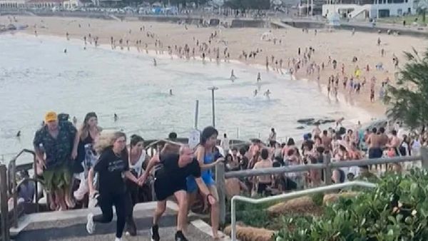Bondi Beach Firing Toll Rises To 16; Suspects Identified As Father and Son