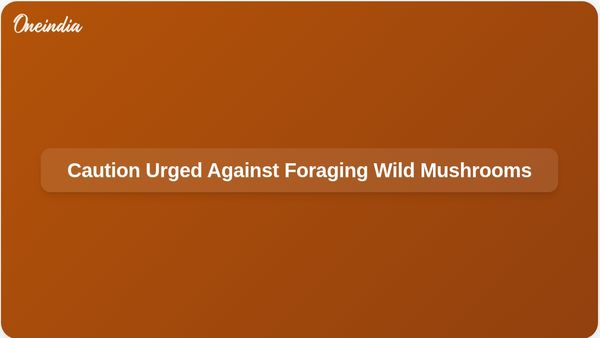 California Officials Urge Caution Against Foraging Wild Mushrooms Amid Poisoning Outbreak