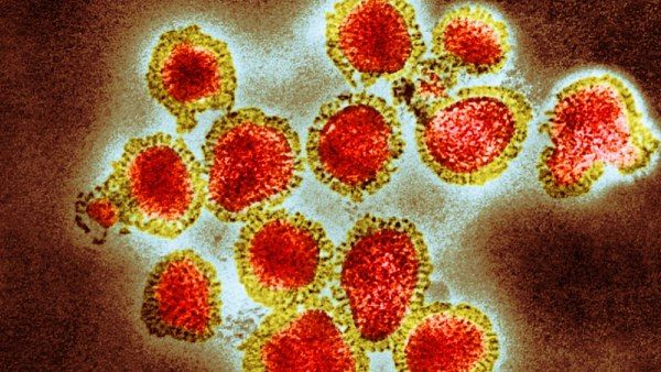 Another Pandemic? H3N2 Flu Surge And Quad-Demic Challenges In US Hospitals