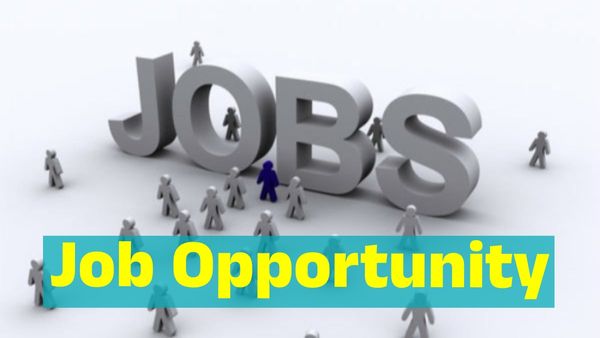 Job Alert: Apply For Over 26,000 Government Vacancies Now In SSC, DRDO, BEL