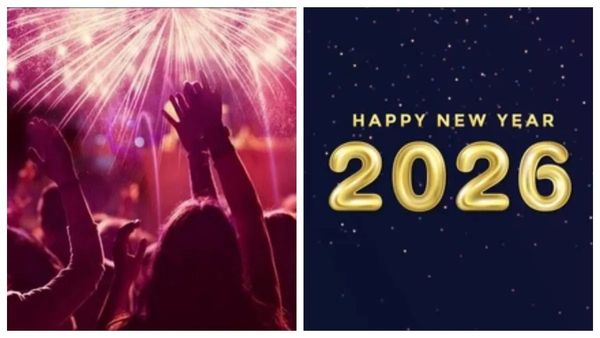New Year 2026: What Is Closed And What Is Open Across Karnataka, Including Bangalore?