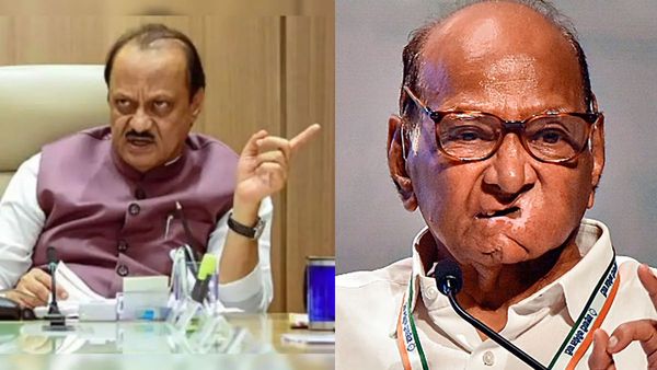 The Shrinking Of The Pawars: NCP Suffers Unprecedented Civic Poll Defeat Across Maharashtra-But WHY?