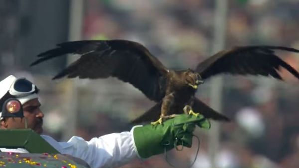 Raptors, Camels, Zanskar Ponies and Army Dogs: Him Yodha Steals the Show at Republic Day Parade