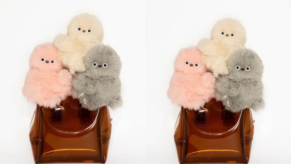 What Is Mirumi? Know All About Mirumi Doll And Why It Is Internet’s New Obsession