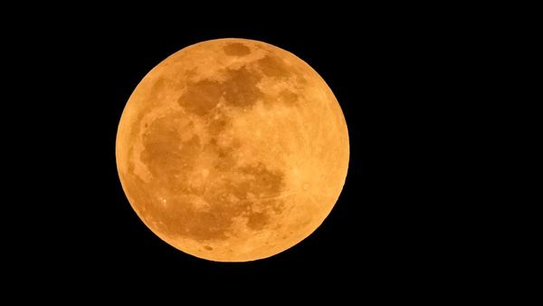 Why Is Moonrise Trending? Understanding The Significance Of Sakat Chauth 2026 In Hinduism