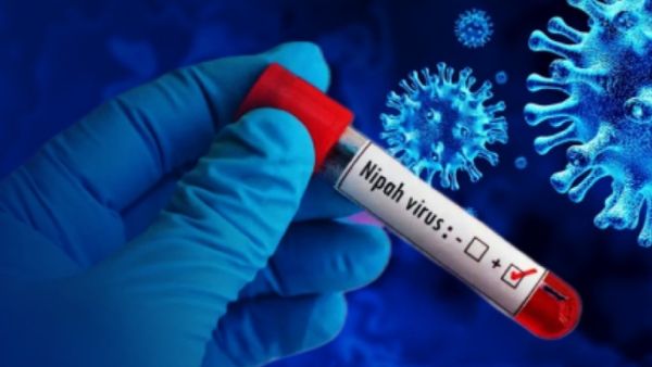 Nipah Virus Outbreak: Why Airports Across Asia Have Restarted Covid-Like Screening?
