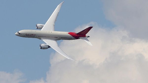 Bird-Hit Cases Surge to 1,782 Last Year, Civil Aviation Ministry Informs Parliament