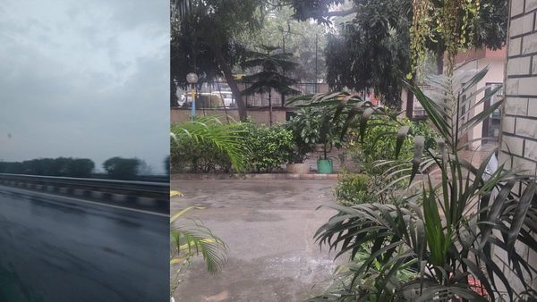 Delhi NCR Weather Update: Dense Fog, Light Rain And Cool Breeze Greet Residents; Travel Advisory Issued