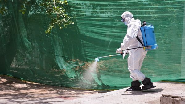 H5N1 Outbreak In Chennai: Mass Crow Deaths in City Spark Bird Flu Alert, Surveillance Intensified