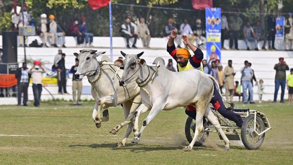 Punjab's Bhagwant Mann Govt Fulfils Promise, Revives Punjab’s Iconic Rural Games