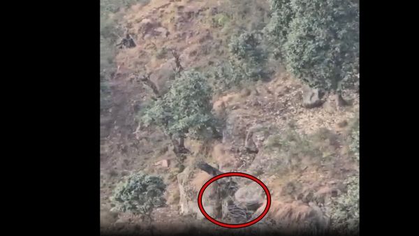 Cave Hideout of Jaish Terrorists Caught on Camera Before They Were Eliminated in Udhampur Encounter