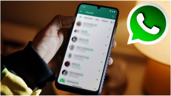 WhatsApp Subscription Plans Explained: What's Free, What's Paid, and Who Needs Them