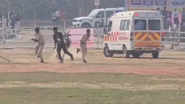 Bihar: Stray Bull Sparks Panic Among Police at BIADA Campus Barauni Helipad