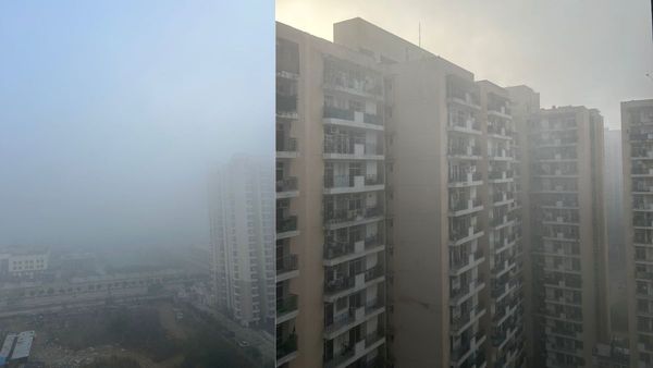 Winter Returns To Delhi-NCR: Dense Fog, Temp Drops To 14°C; IMD Issues Green Alert, Check Rain Update