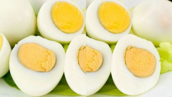 India Egg Prices Fall Sharply as Iran-Israel War Disrupts Exports; Namakkal Loses Rs 5 Crore Daily