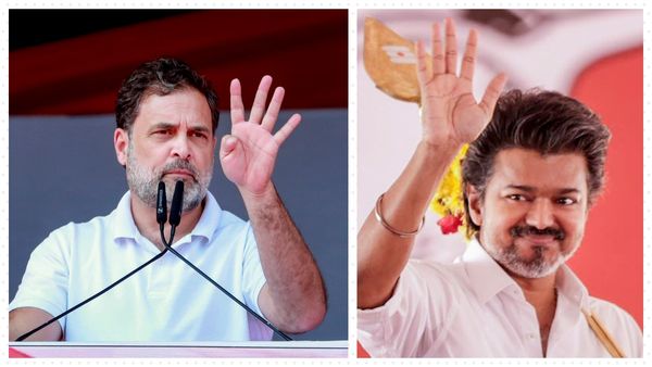 Fact Check: Is Rahul Gandhi Following Vijay On X Amid TVK-Congress Alliance Buzz?