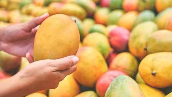 Hyderabad Mango Crackdown: 2 Traders Held, 7 Tonnes of Suspected Chemically Ripened Fruit Seized