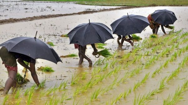India Likely To Face Weak Monsoon In 2026 as IMD Forecasts Below-Normal Rainfall