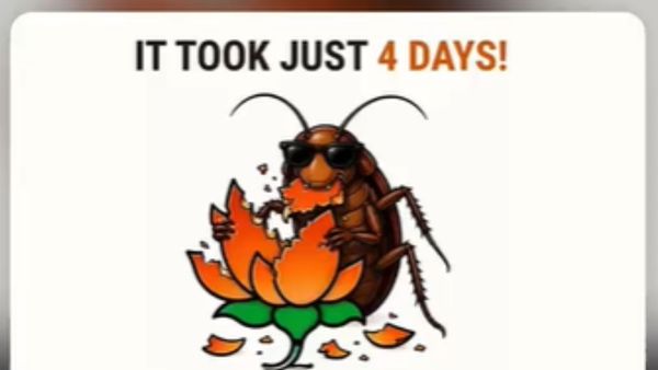 Cockroach Janata Party Hits 9 Million Followers, Outpaces BJP’s Instagram Handle