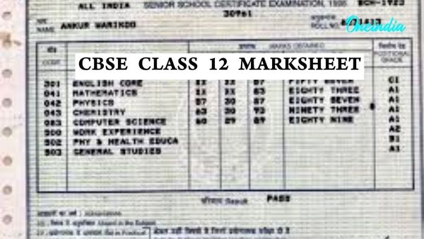 Delhi Class 12 Student Trolled As ‘Pakistani’ After Questioning CBSE Marks; Board Later Admits Technical Error