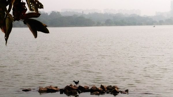 Hebbal, Nagawara Lake Projects Reclaim 21 Acres Of Encroached Land For Wetlands And Walking Tracks