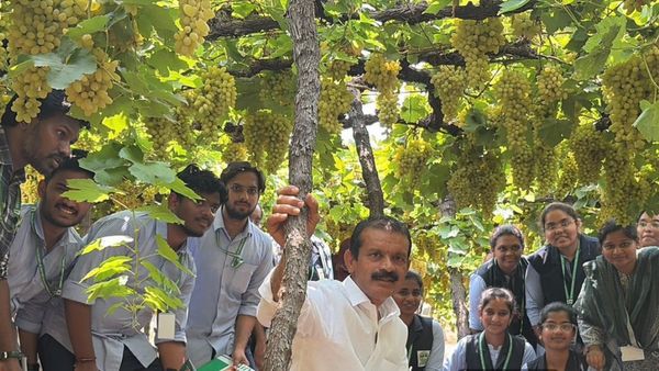 Water Warrior From India's Most Drought Prone Area: Farmer Turns Drought Land Into Gold
