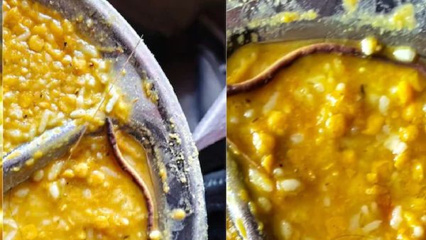 Snake Found In Bihar School Meal, Children Fall Ill After Eating Mid-Day Lunch
