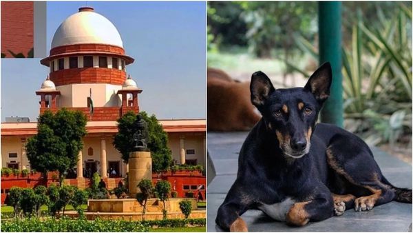 SC Dismisses Pleas Challenging Order On Relocation, Sterilisation of Stray Dogs