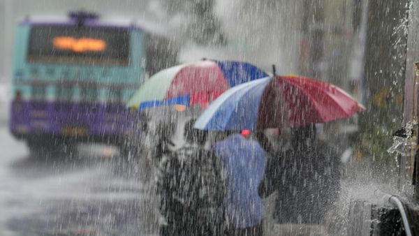 Tamil Nadu Weather: 14 Districts Today, 8 Tomorrow To Get Heavy Rains As RMC Issues Yellow Alert Till Sunday