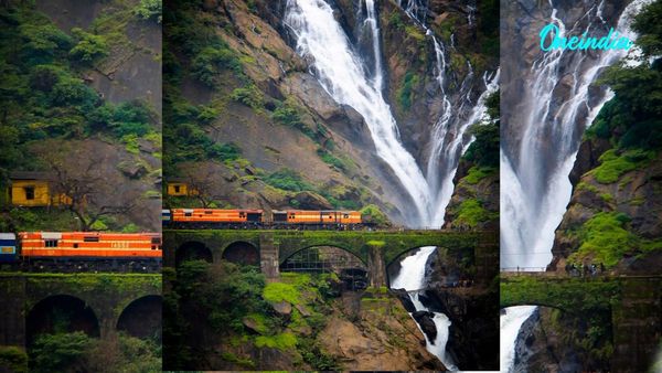Goa Dudhsagar Waterfall Tragedy: Four Students Drown During Picnic, One Survives