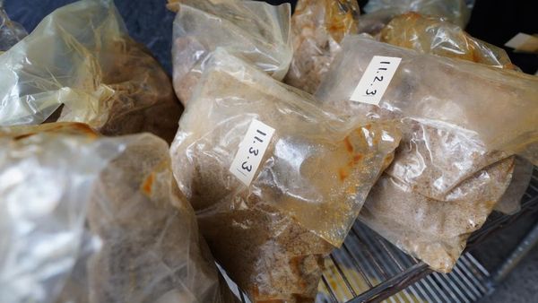 Kerala Woman Allegedly Hid MDMA In Private Part, 7 Arrested In Major Drug Bust