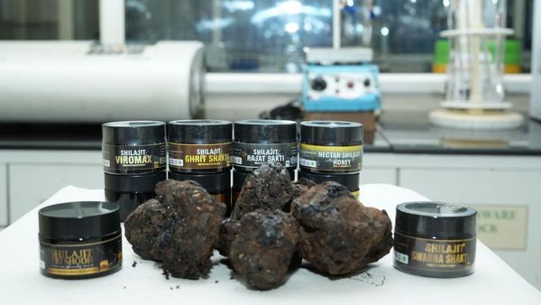 Shilajit Purity: Mrida Greens Just Solved the Trust Problem!