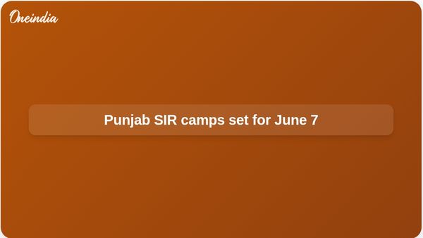Punjab electoral roll revision: CEO Anindita Mitra announces June 7 camps for voter mapping