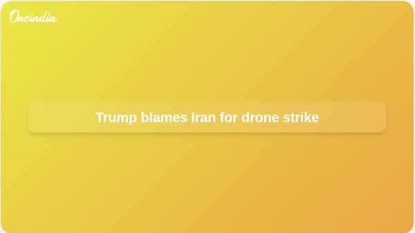 Strait of Hormuz incident: Trump blames Iran for drone strike on cargo ship