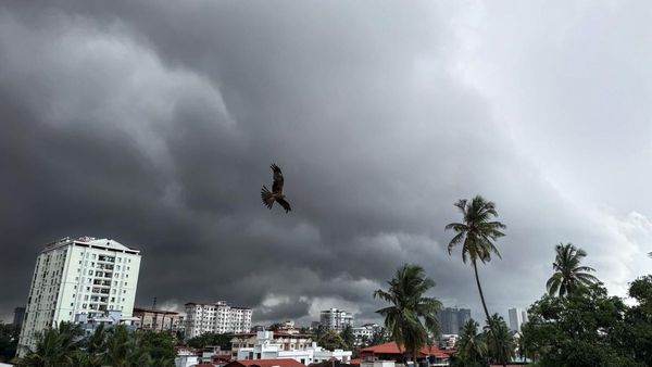 Monsoon Revival Expected in Karnataka This Week, Bengaluru Set for Patchy Rains for Next 5 Days
