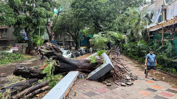 IMD Sounds Red Alert For Mumbai, Thane and Raigad; Asks People To Avoid Non Essential Travel