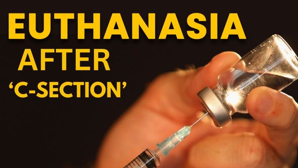 Why Are Five New Mothers Demanding Euthanasia After C-Sections In Kota?