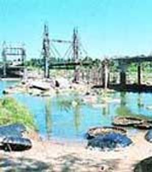 ಕೊಪ್ಪಳದ ಆನೆಗೊಂದಿ ಬಳಿಕುಸಿದು ಬಿದ್ದಸೇತುವೆ