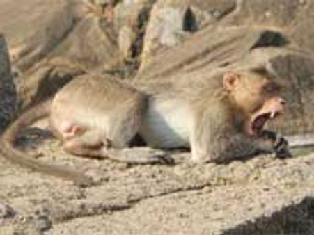 ಮುಗಿಯಿತು ಬಿಸಿಲುಮಳೆ ಅಕ್ಷರಜಾತ್ರೆಯಲ್ಲಿ ಧೂಳಹೊಳೆ