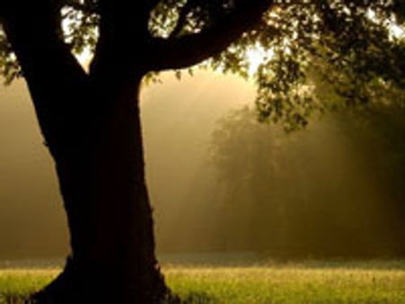 ಯುಗಯುಗಗಳೆ ಸಾಗಲಿ ನಿಮ್ಮ ಪ್ರೀತಿ ಶಾಶ್ವತ ಇರಲಿ