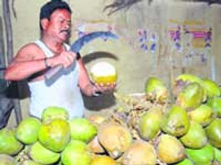 ಏಳೆನೀರು ವ್ಯಾಪಾರಿ ಲೋಕಸಭೆ ಅಖಾಡಕ್ಕೆ