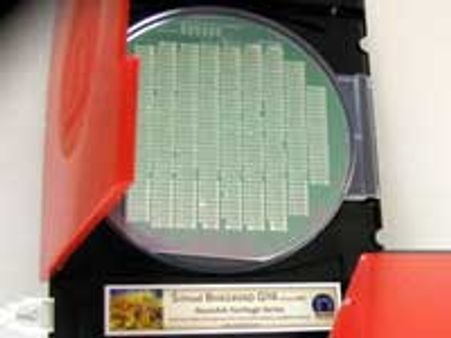 ಸಿಲಿಕಾನ್ ವೇಫರ್ ಮೇಲೆ ಭಗವದ್ಗೀತೆ!