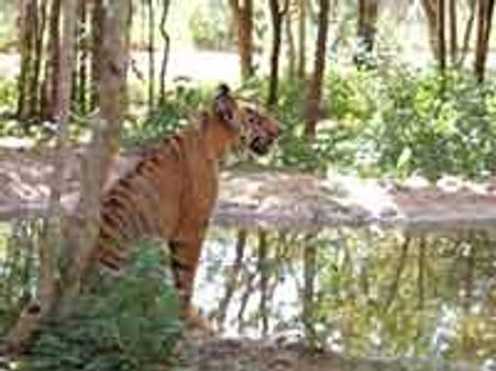 ಬೆಂಗಳೂರಿಗೆ ಹೇಳಿ ಒಂದು ದಿನ ಗುಡ್ ಬೈ
