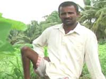 ಕಾಲಿಲ್ಲದೆ ಮರ ಹತ್ತುವ ಕುದುರೆ ಶ್ರೀನಿವಾಸ್